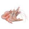 Whole Pink Shrimp - L Size -US Snack Sales 2024 16510 28