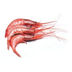 Mediterranean Gobetto Shrimp