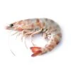 Whole Caramote Prawns - L Size -US Snack Sales 2024 16518 44