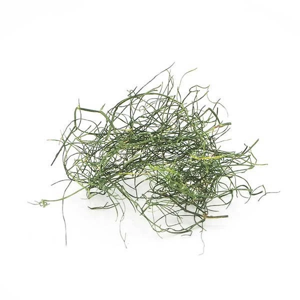 Dried Fennel 2 Dried Fennel - Image 2