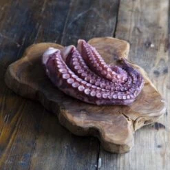 Precooked Octopus Tentacles T3