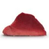 Bluefin Tuna Fillet -US Snack Sales 2024 29020 29021 29023 29024 29029 3