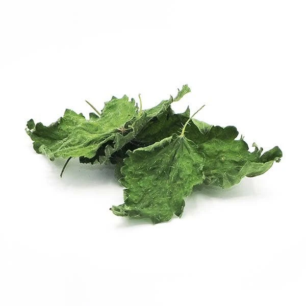 Dried Lemon Balm 2 Dried Lemon Balm - Image 2