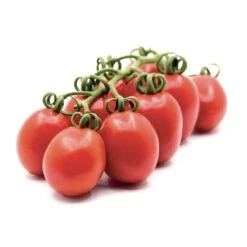 Vesuvian Tomato