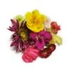 Edible Flowers Mix 3 Edible Flowers Mix -US Snack Sales 2024 7147