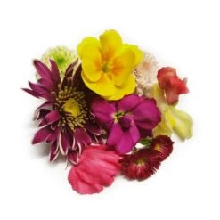 Edible Flowers Mix