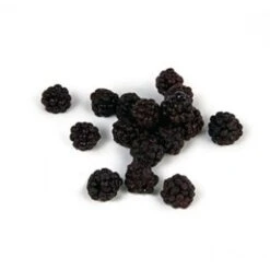 IQF WILD BlackBerries