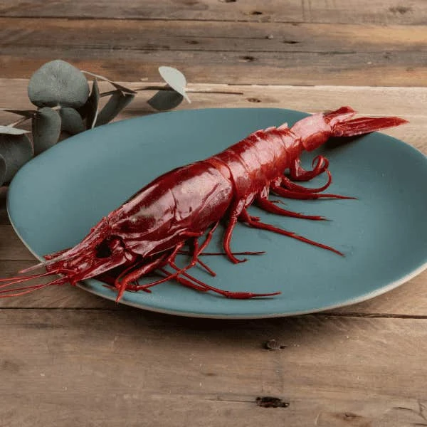 Atlantic Scarlet Prawn XL (Carabinero) 2 Atlantic Scarlet Prawn XL (Carabinero) - Image 2