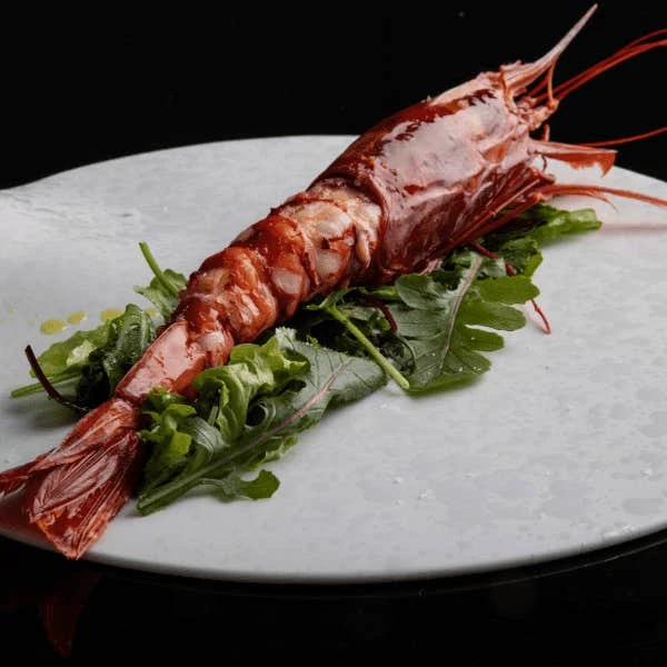 Atlantic Scarlet Prawn XL (Carabinero) 1 Atlantic Scarlet Prawn XL (Carabinero)