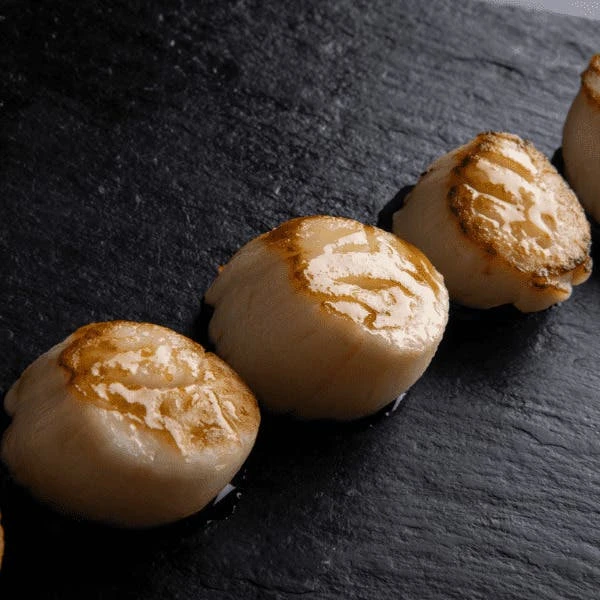 American Scallops Without Shell And Coral 1 American Scallops Without Shell And Coral