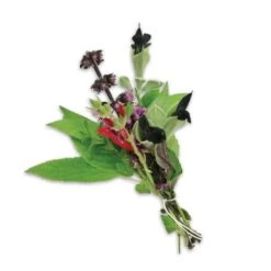 Alpin Herbs For Infusion